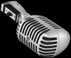  Shure 55SH II(,    30%)